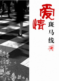 隔壁的女孩电视剧免费观看完整版